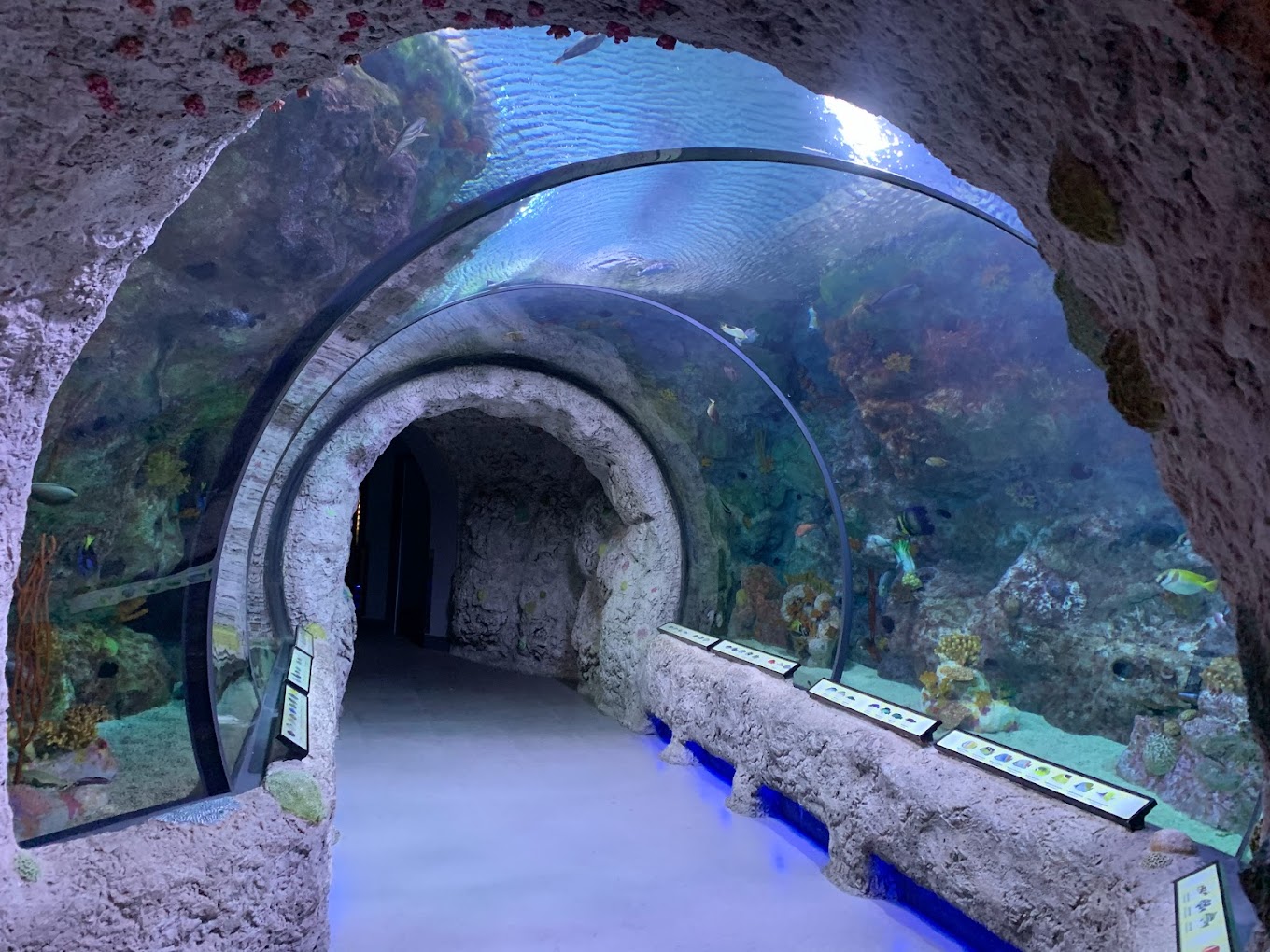 ABQ BioPark Aquarium Travel | Park