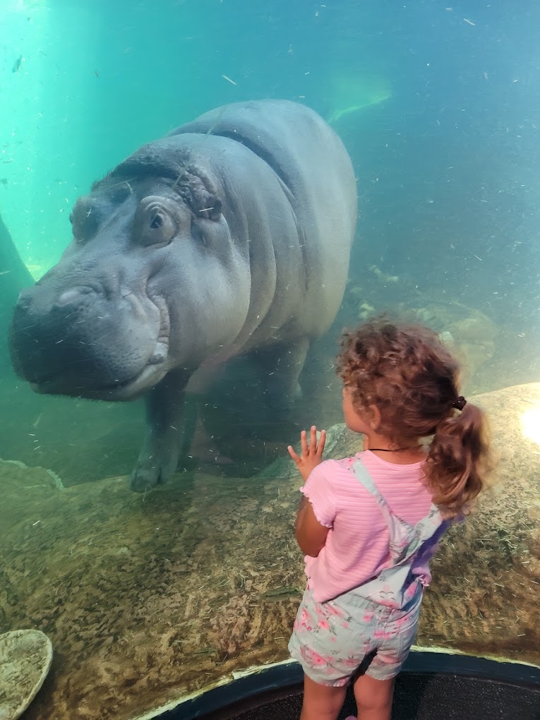 Adventure Aquarium Travel | Park