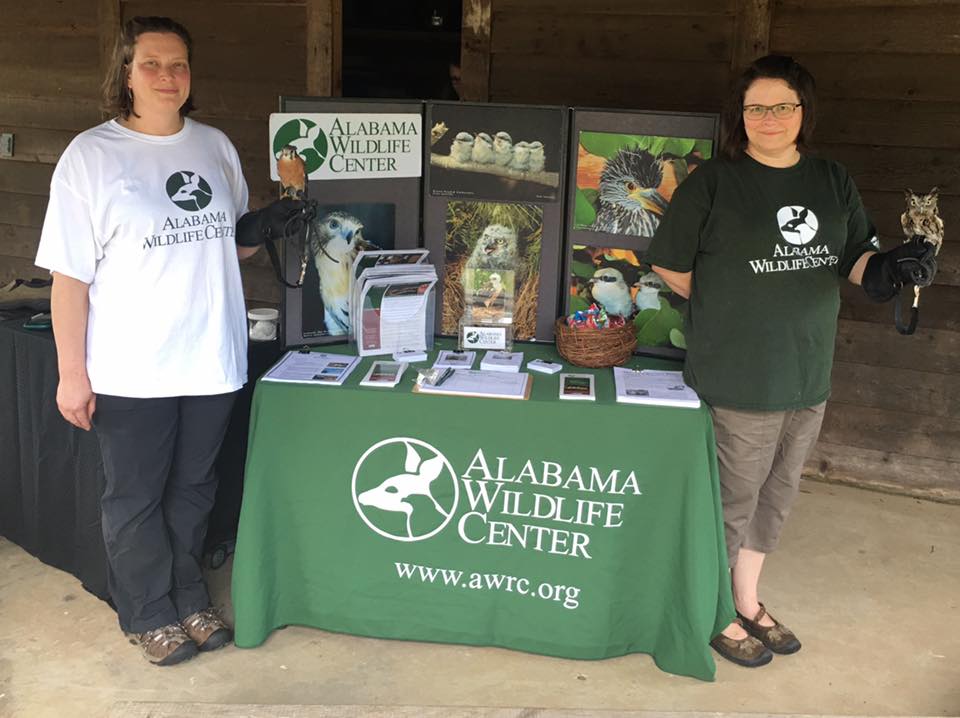 Alabama Wildlife Center Travel | Zoo and Wildlife Sanctuary 