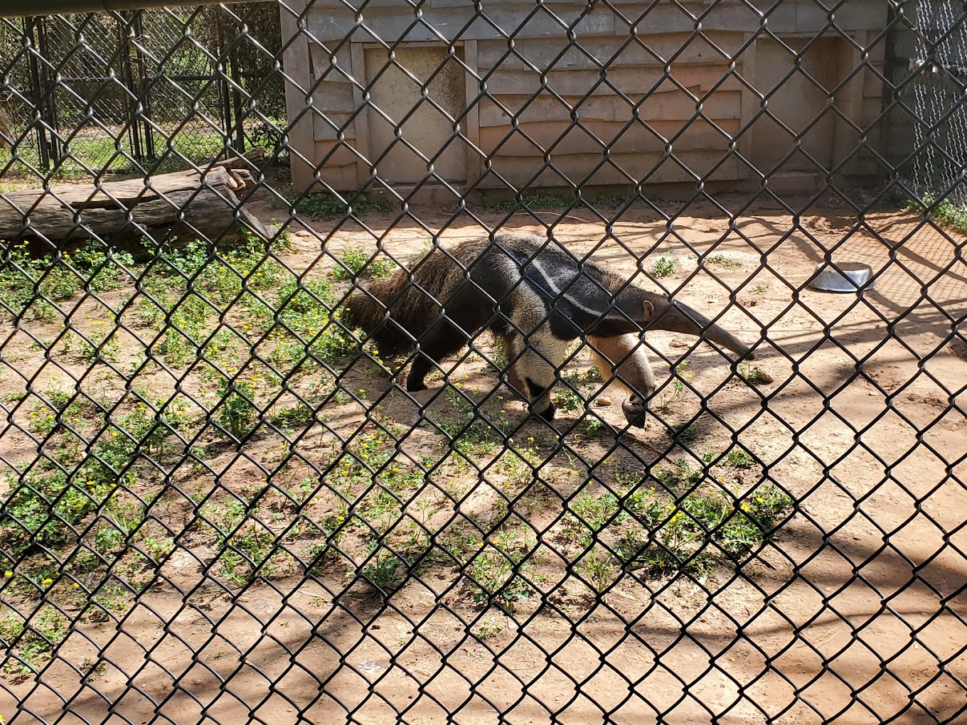 Alexandria Zoological Park Travel | Zoo and Wildlife Sanctuary 