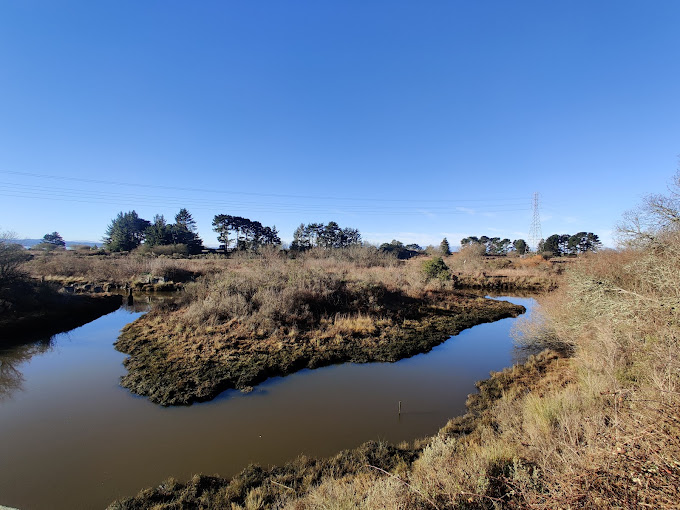 Arcata Marsh Interpretive Center Travel | Museums