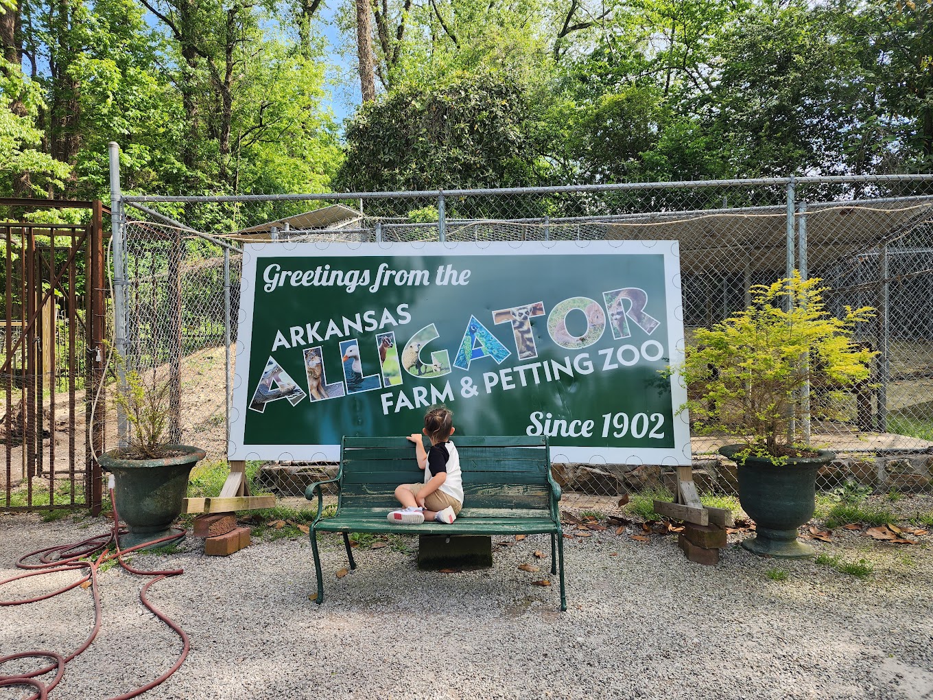 Arkansas Alligator Farm and Petting Zoo Travel | Zoo and Wildlife Sanctuary 