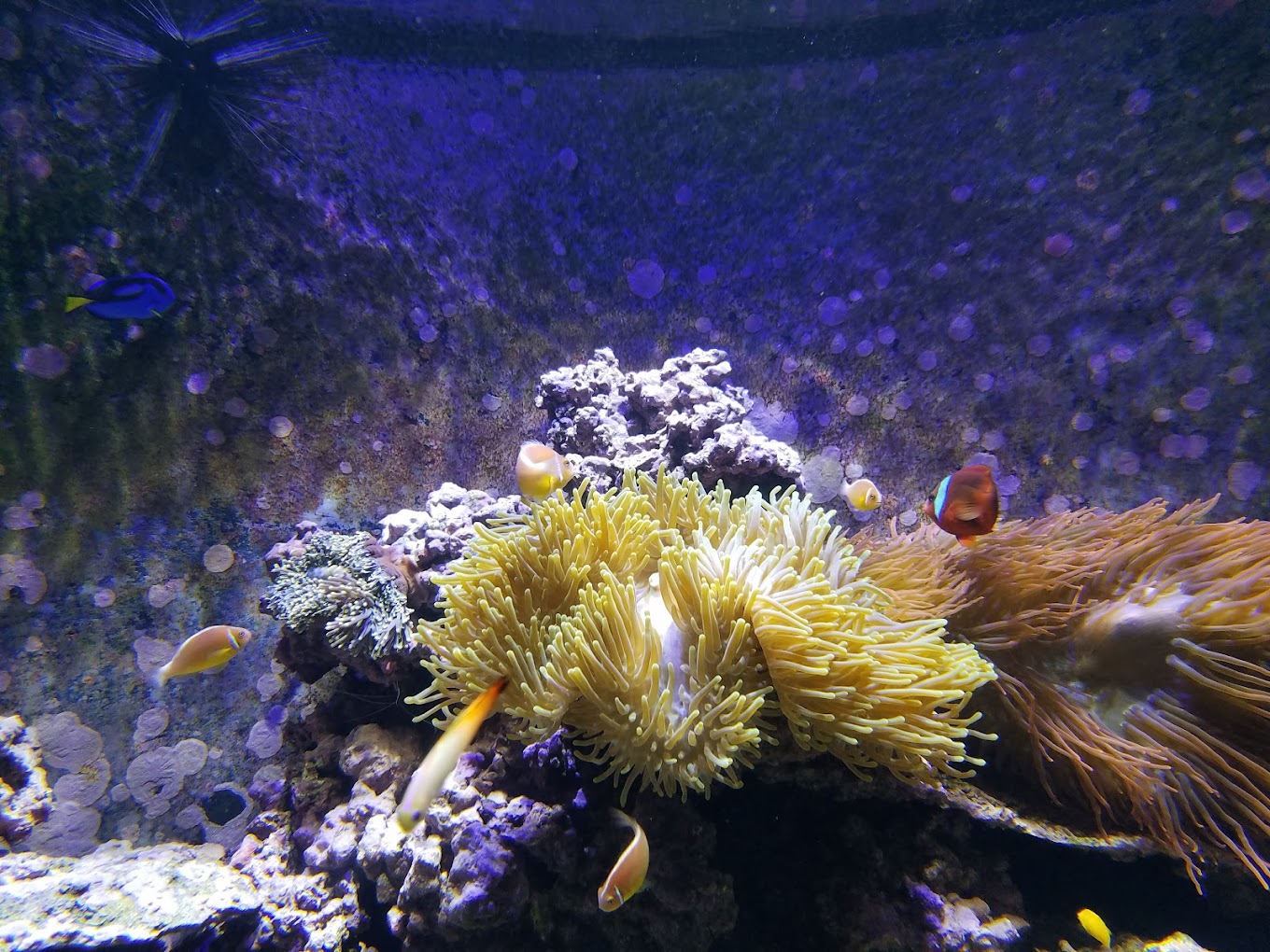 Audubon Aquarium Travel | Park