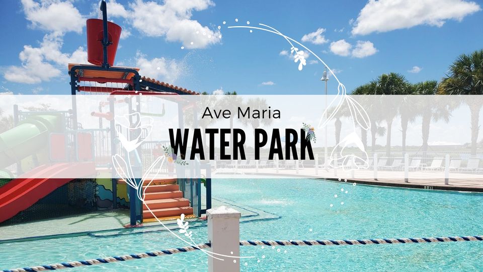 Ave Maria Water Park (Private Amenity) - Logo