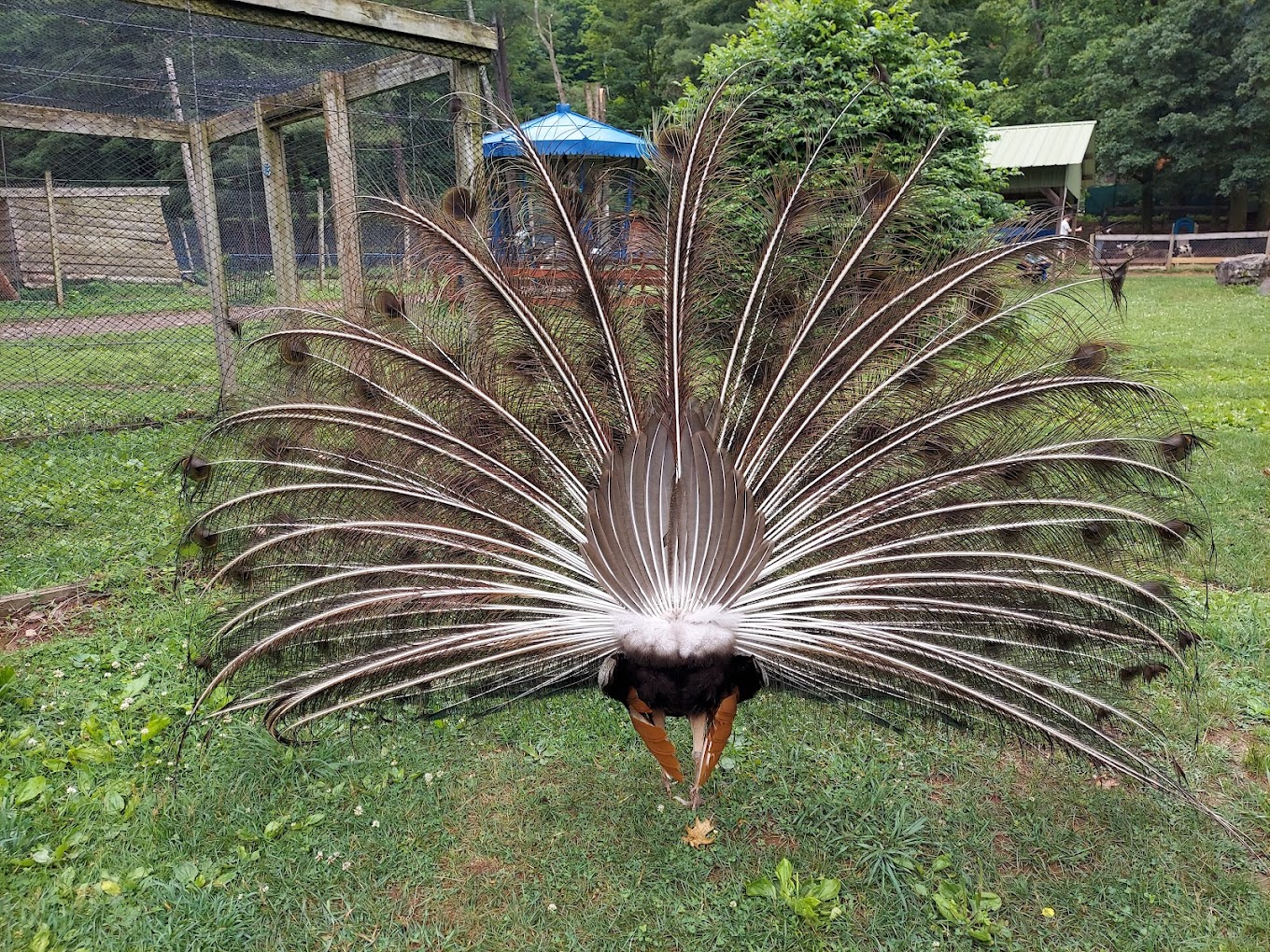 Bailiwick Animal Park and Riding Stables Travel | Zoo and Wildlife Sanctuary 