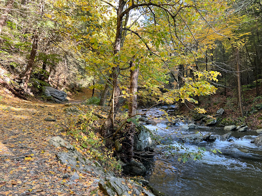Bash Bish Falls NY parking lot Travel | Park