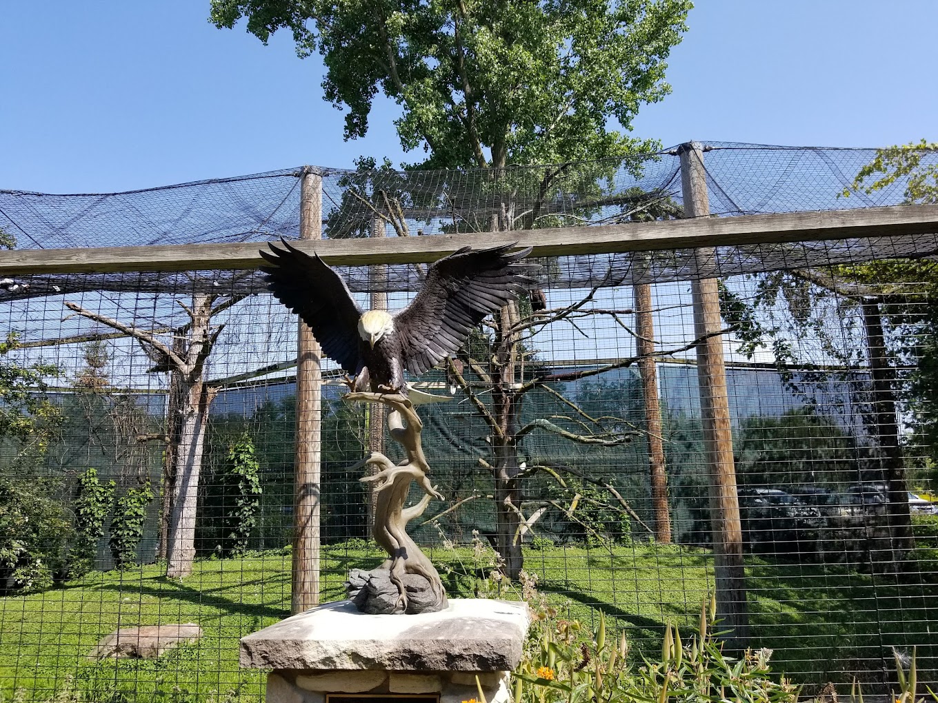 Bay Beach Wildlife Sanctuary Travel | Zoo and Wildlife Sanctuary 