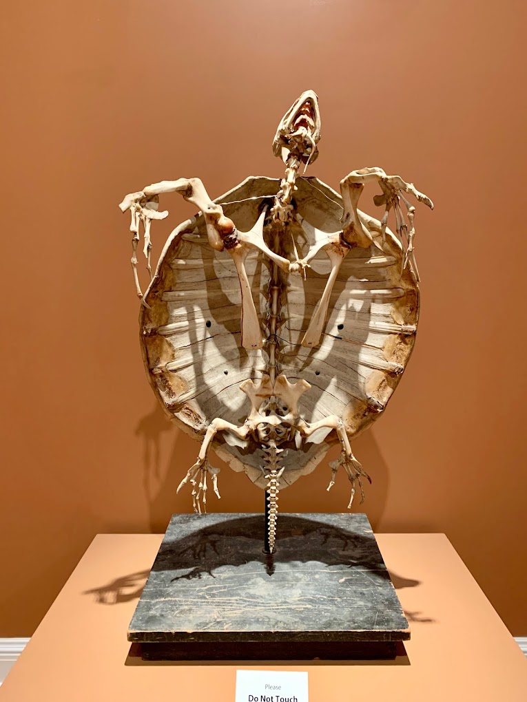 Berkshire Museum Travel | Park