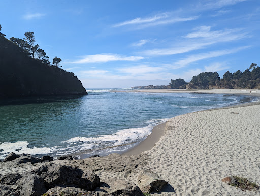 Big River Beach at Mendocino Headlands State Park Travel | Park