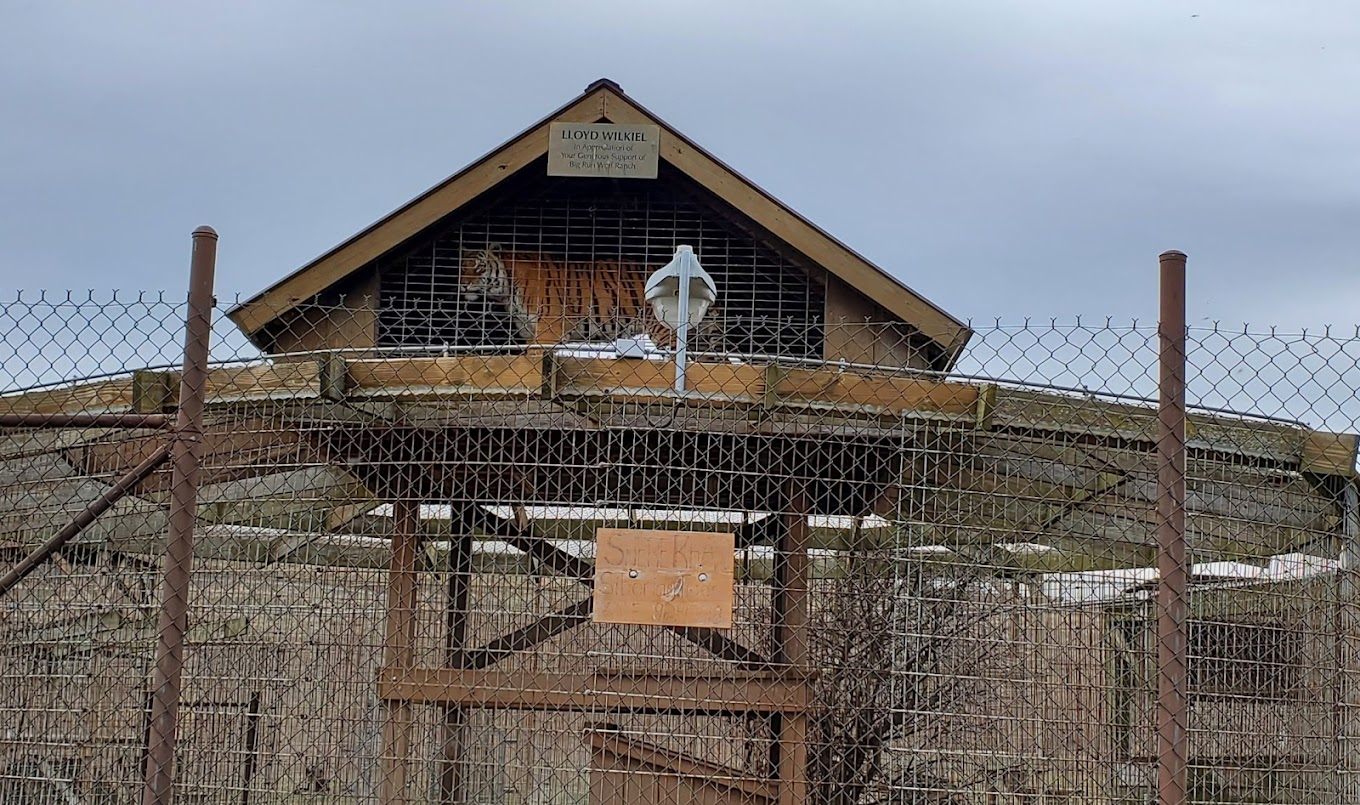Big Run Wolf Ranch Travel | Zoo and Wildlife Sanctuary 
