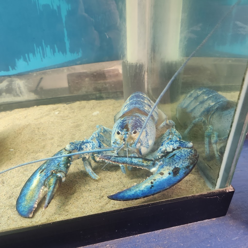 Biomes Marine Biology Center Travel | Park