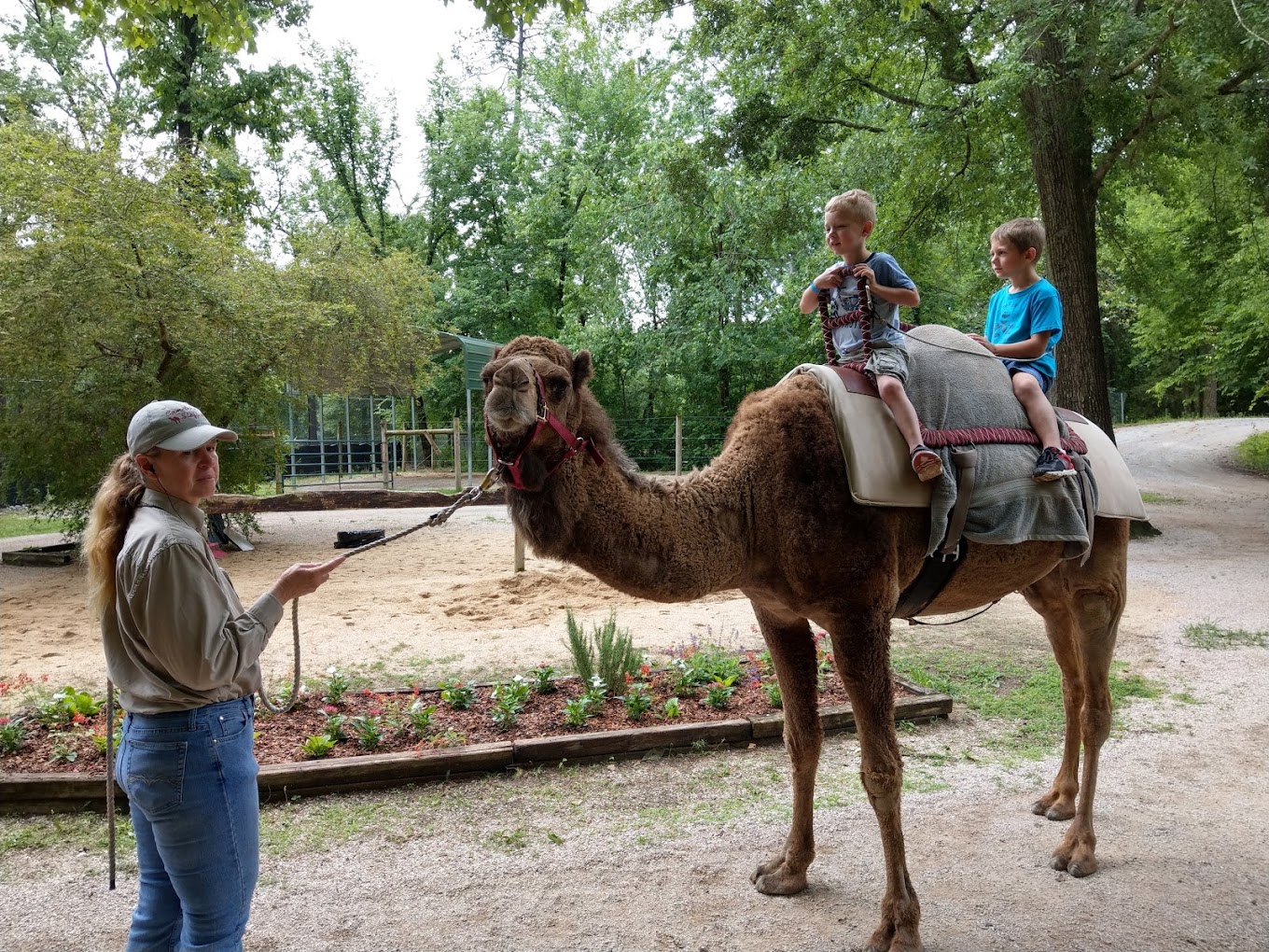 Birmingham Zoo Travel | Zoo and Wildlife Sanctuary 