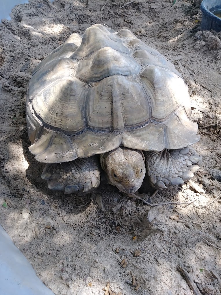 Bradts Menagerie Travel | Zoo and Wildlife Sanctuary 