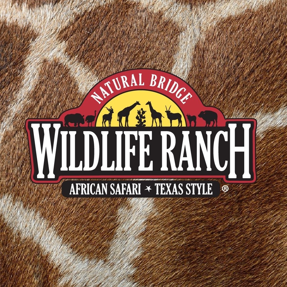 Buena Vista Safari and RV Park - Logo