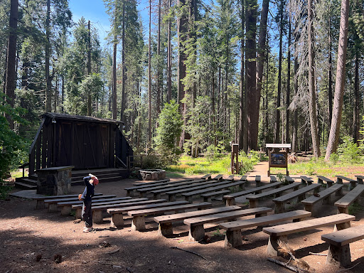 Calaveras Big Trees State Park Travel | Park