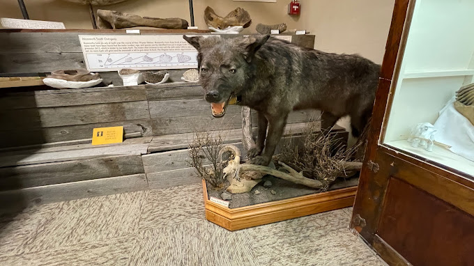 Carter County Museum Travel | Museums