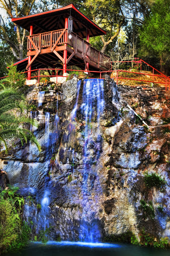 Cedar Lakes Woods and Gardens Travel | Park