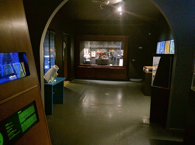 Center for PostNatural History Travel | Museums