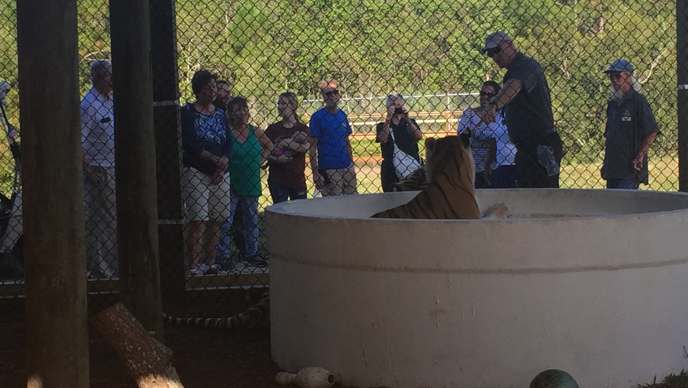 Central Florida Animal Reserve, Saint Cloud Travel | Zoo and Wildlife Sanctuary 