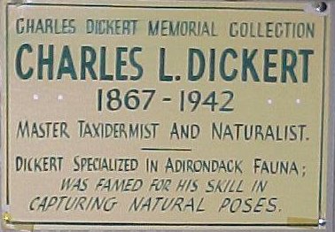 Charles Dickert Wildlife Collection - Logo