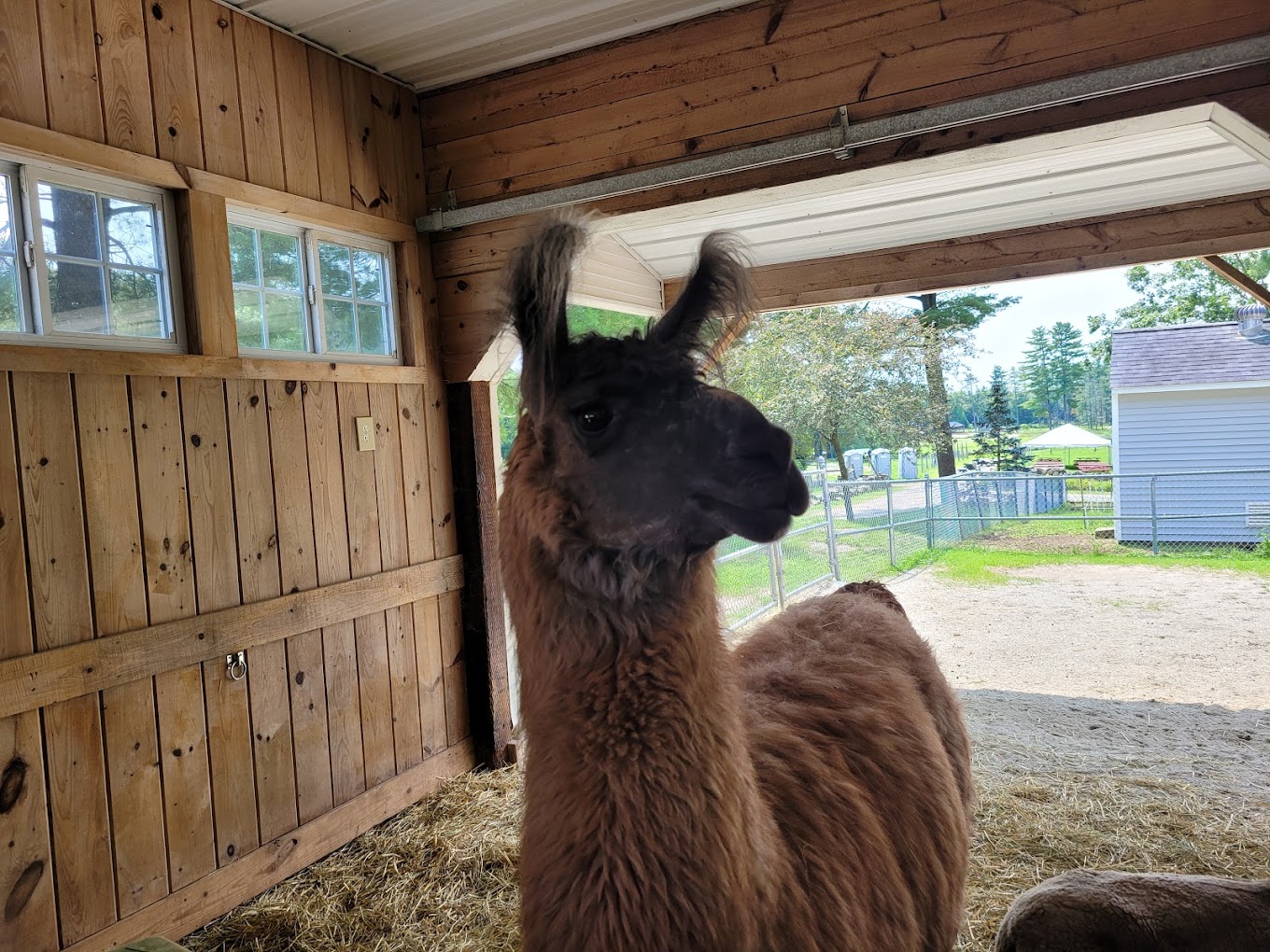 Charmingfare Farm Travel | Zoo and Wildlife Sanctuary 
