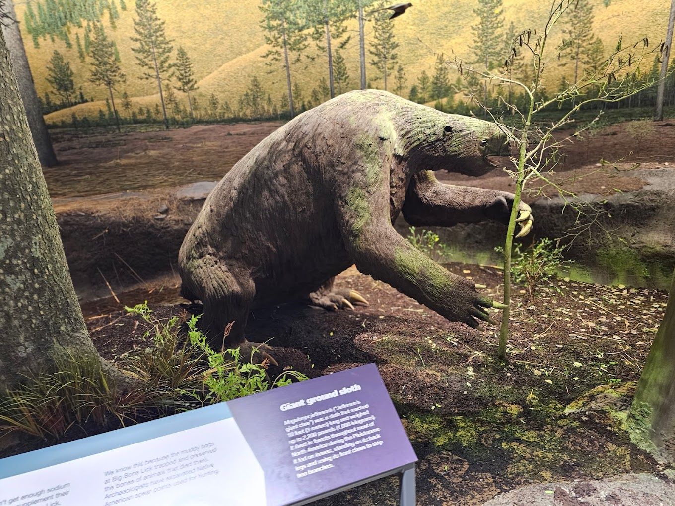 Cincinnati Museum of Natural History & Science Travel | Museums
