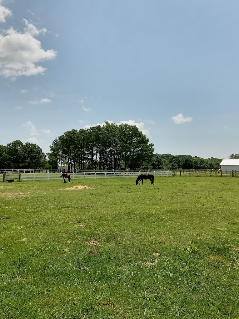 Corolla Wild Horse Museum Travel | Museums