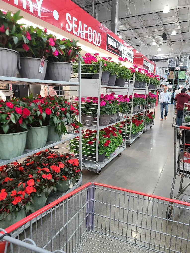Costco Wholesale Shopping | Store