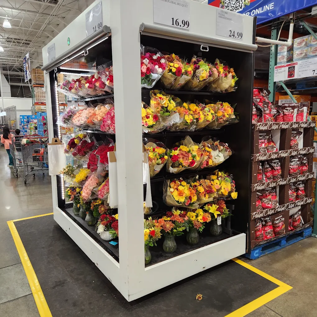 Costco Wholesale Shopping | Store