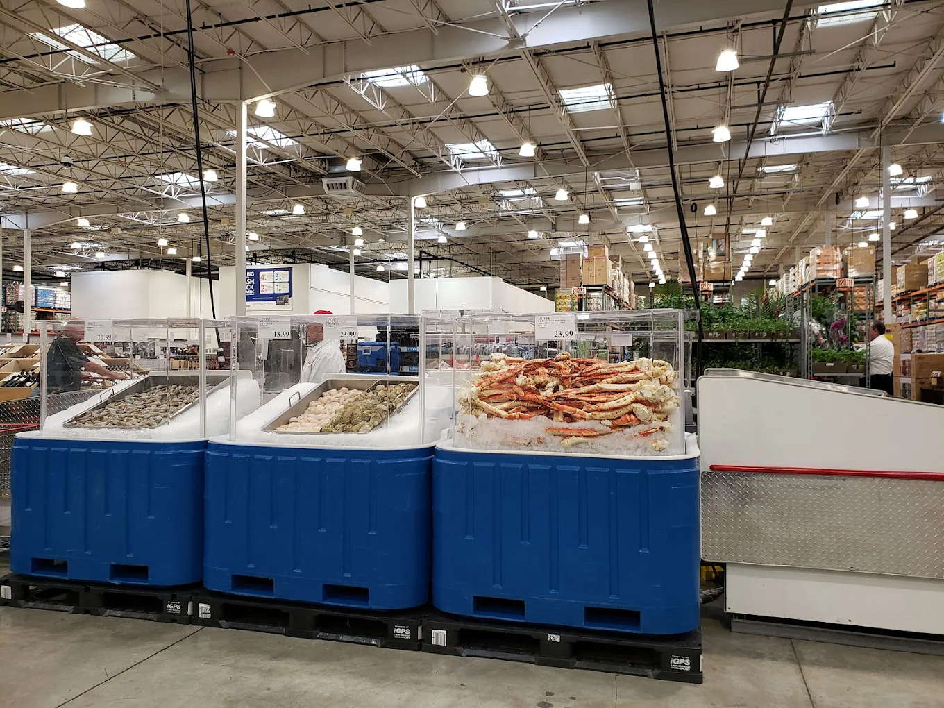Costco Wholesale Shopping | Store