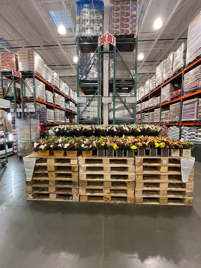 Costco Wholesale Shopping | Store