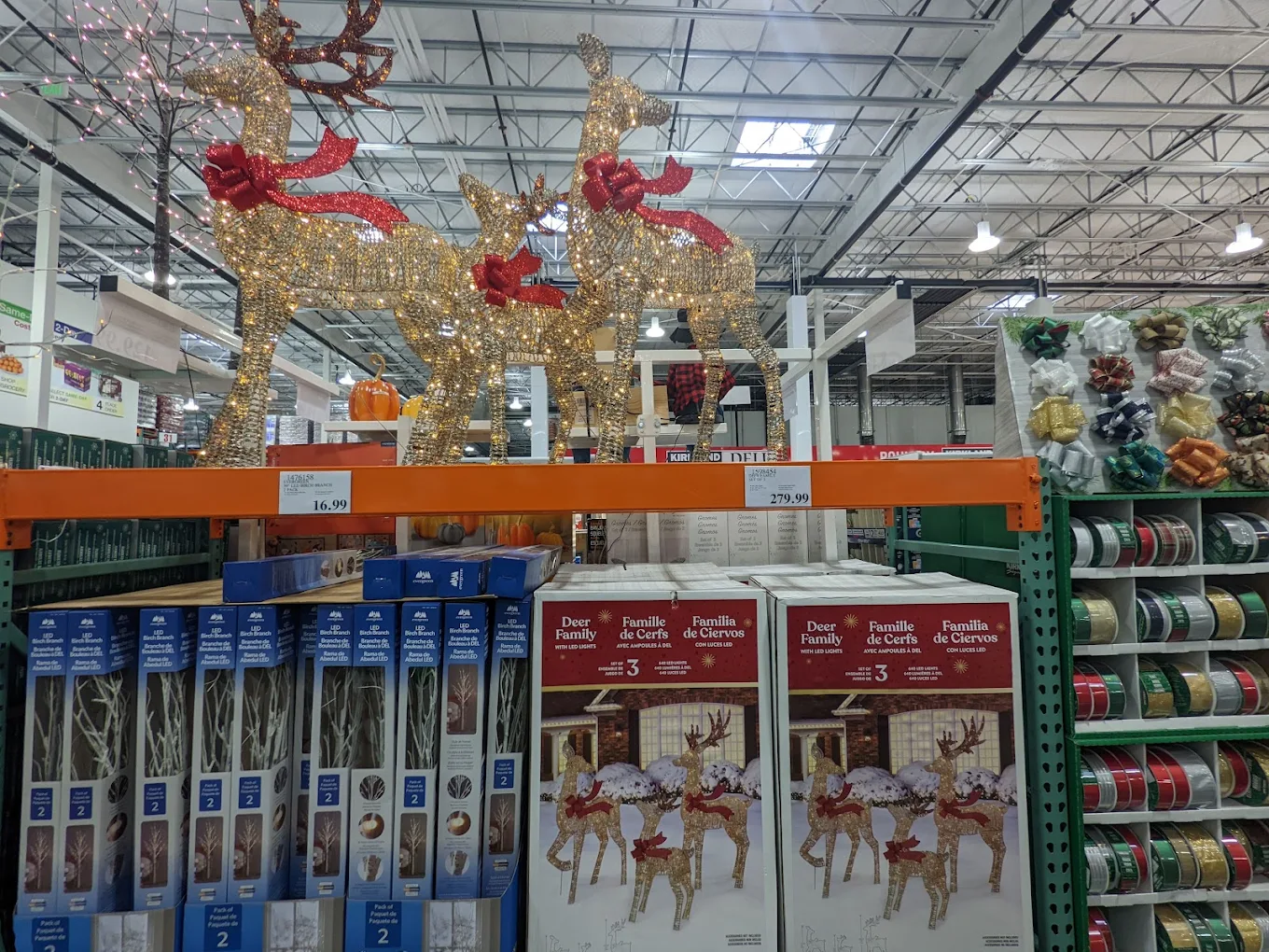 Costco Wholesale Shopping | Store