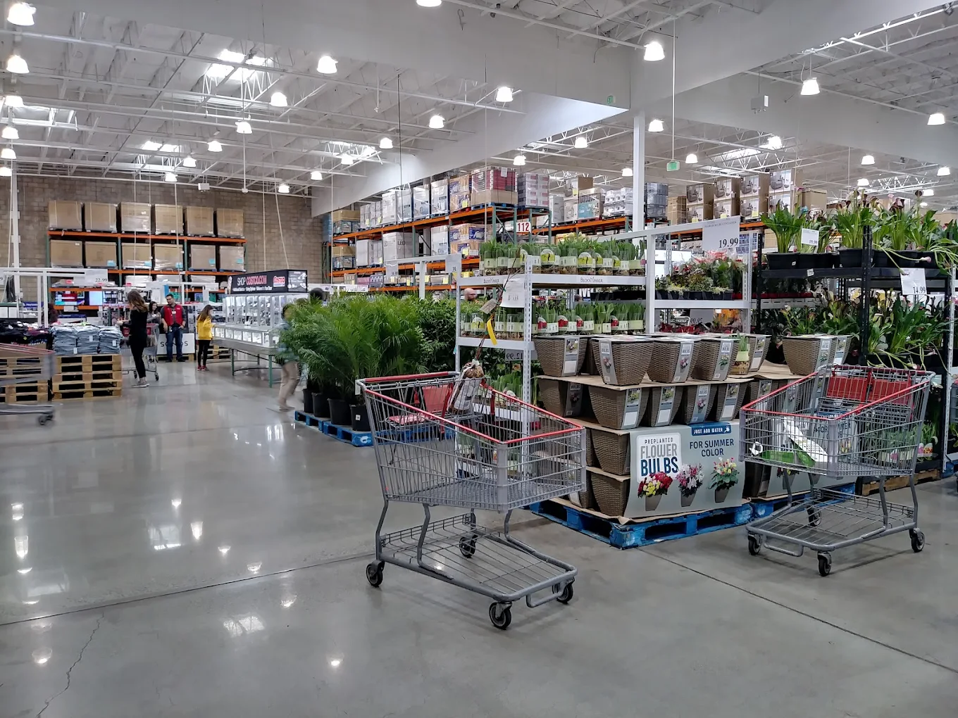 Costco Wholesale Shopping | Store