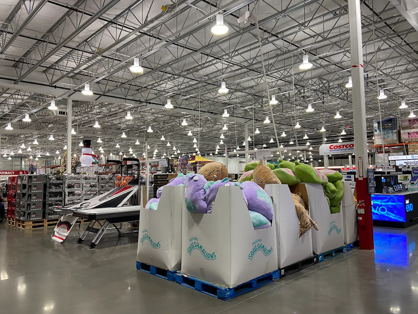 Costco Wholesale Shopping | Store