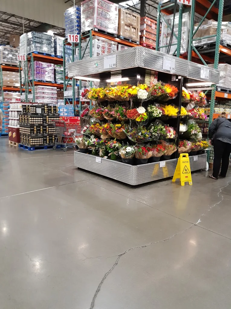 Costco Wholesale Shopping | Store