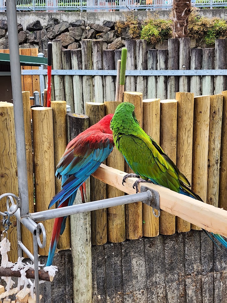 Cougar Mountain Zoo Travel | Zoo and Wildlife Sanctuary 