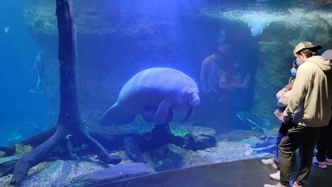Dallas World Aquarium Travel | Park