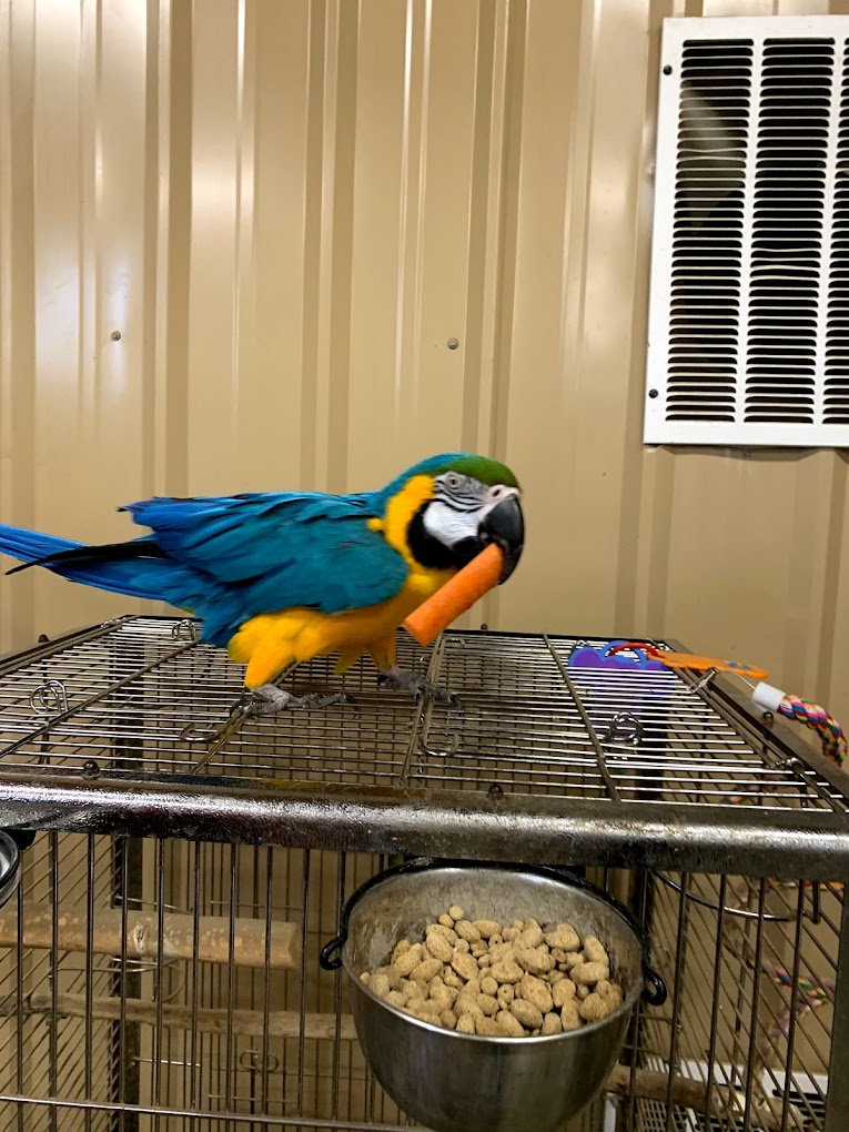 Debbie Dolittles Petting Zoo Travel | Zoo and Wildlife Sanctuary 