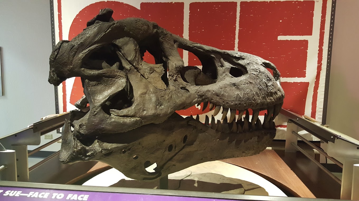 Discovery Center Travel | Museums