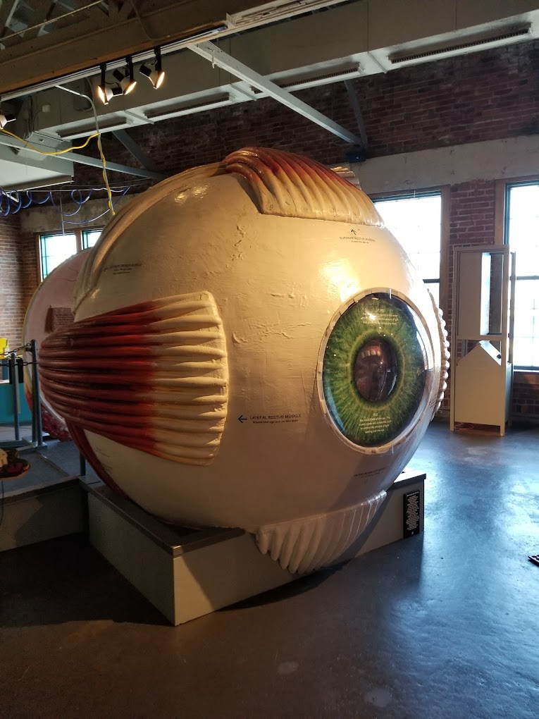 Discovery Center of Springfield Travel | Museums
