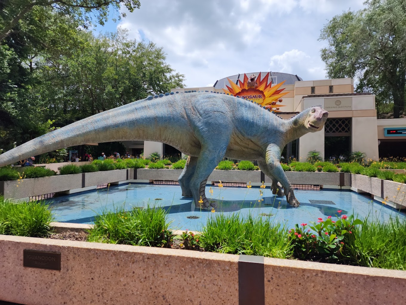 Disneys Animal Kingdom, Travel | Zoo and Wildlife Sanctuary 