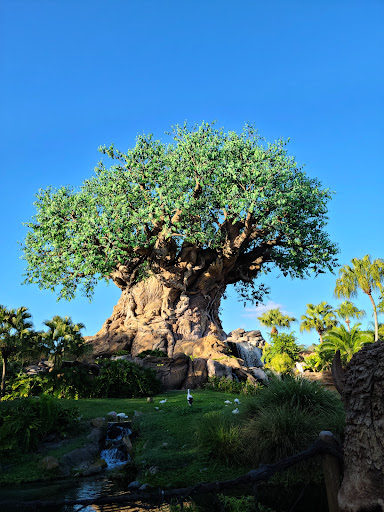 Disneys Animal Kingdom Theme Park Entertainment | Theme Park