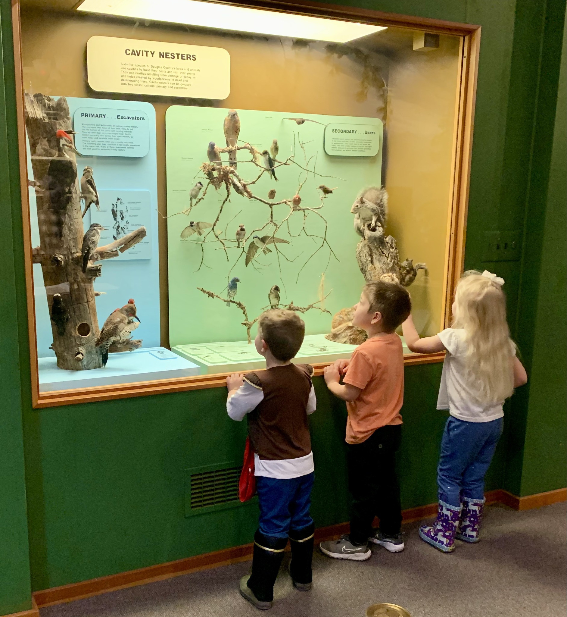 Douglas County Museum Travel | Museums