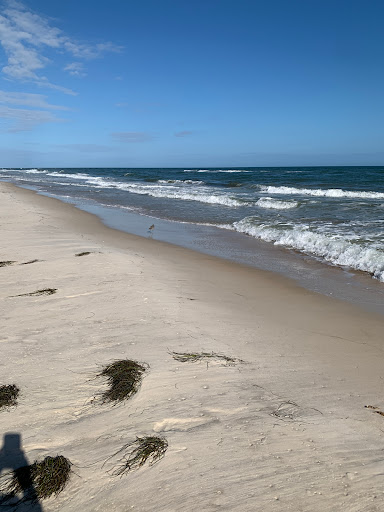 Dr. Julian G. Bruce St. George Island State Park Entertainment | Amusement Park