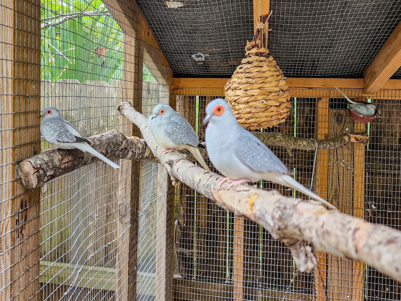 Dunrovin Exotic Animal Sanctuary Travel | Zoo and Wildlife Sanctuary 
