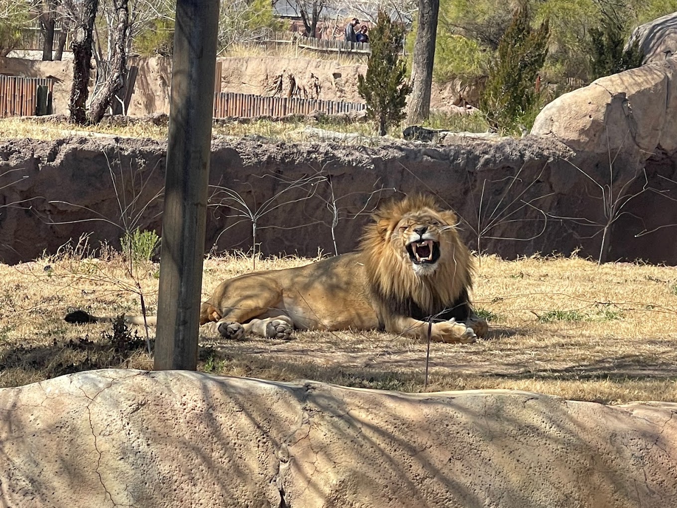 El Paso Zoo Travel | Zoo and Wildlife Sanctuary 