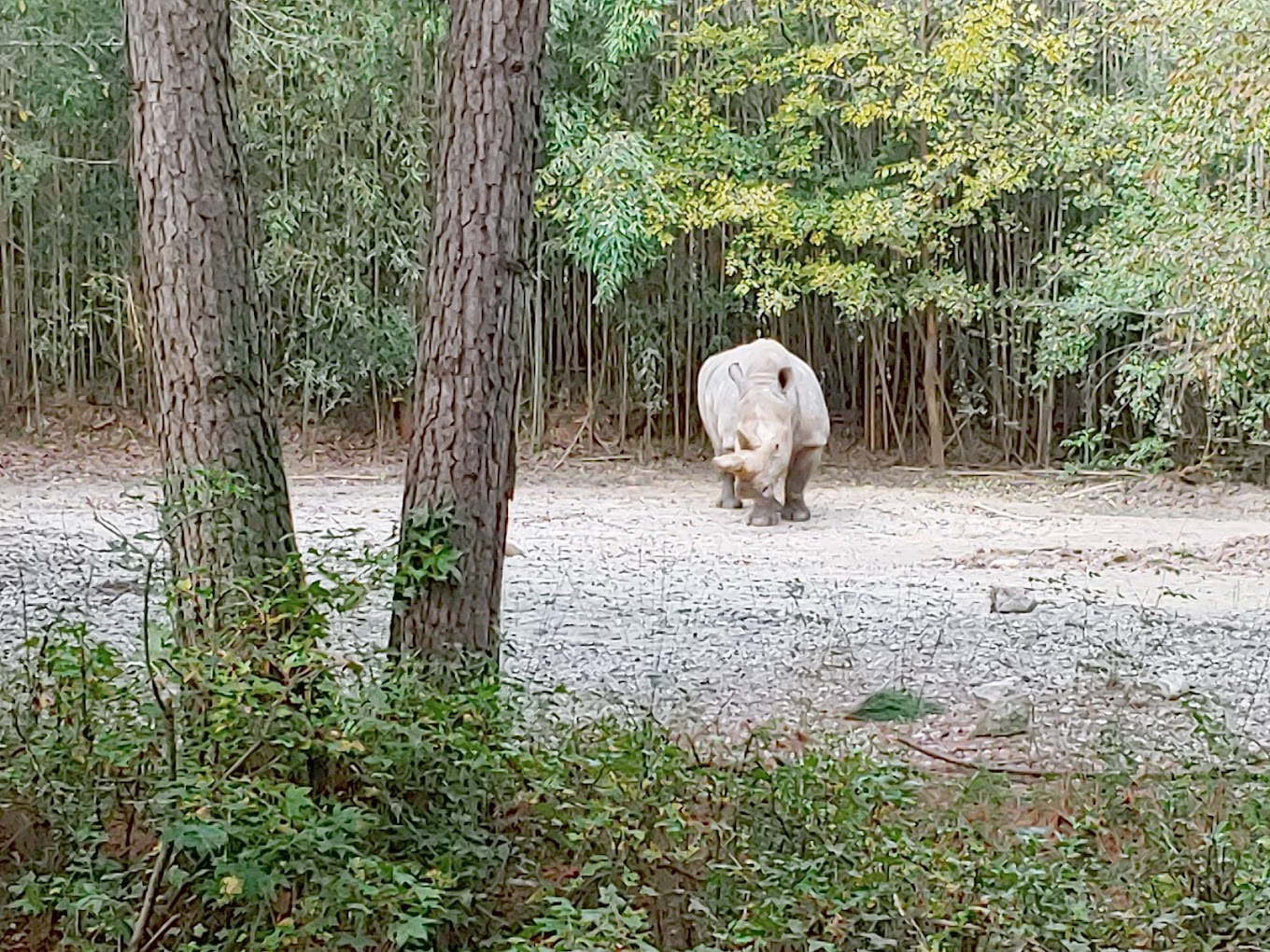 Ellen Trout Zoo Travel | Zoo and Wildlife Sanctuary 