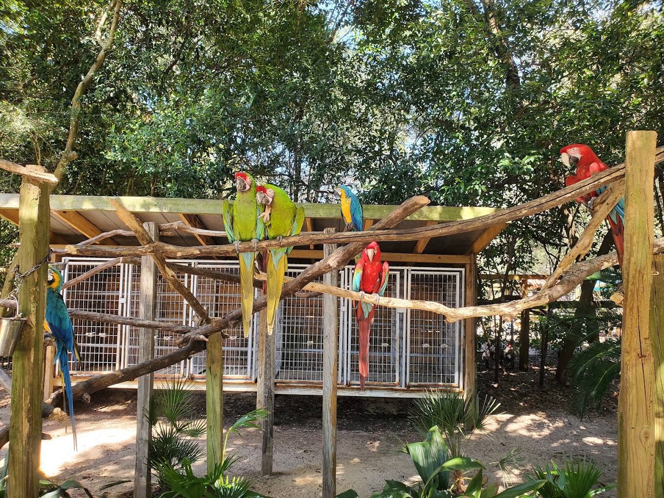 Emerald Coast Zoo Travel | Zoo and Wildlife Sanctuary 