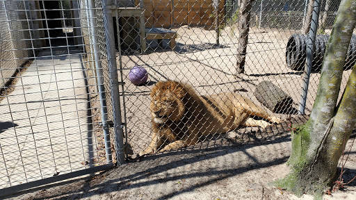 Emerald Coast Zoo Travel | Zoo and Wildlife Sanctuary 