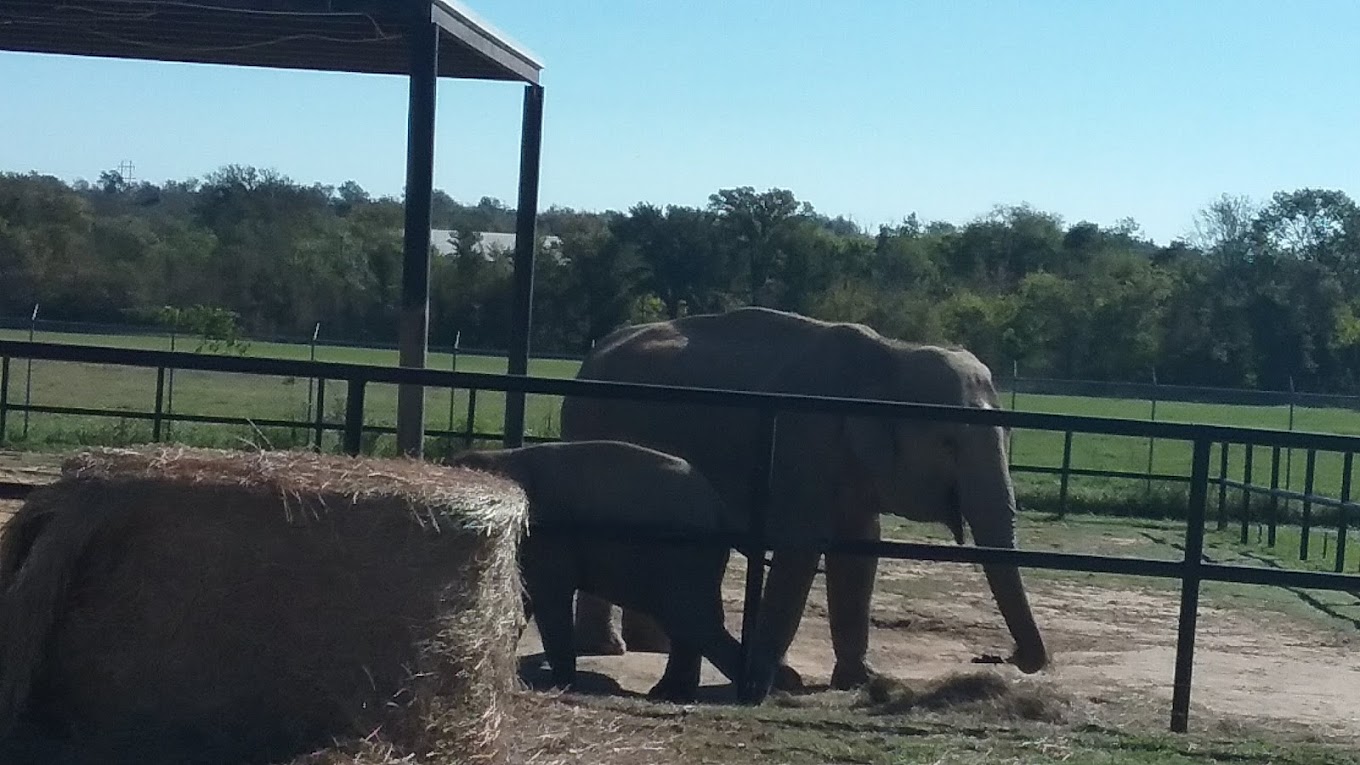 Endangered Ark Foundation Travel | Zoo and Wildlife Sanctuary 